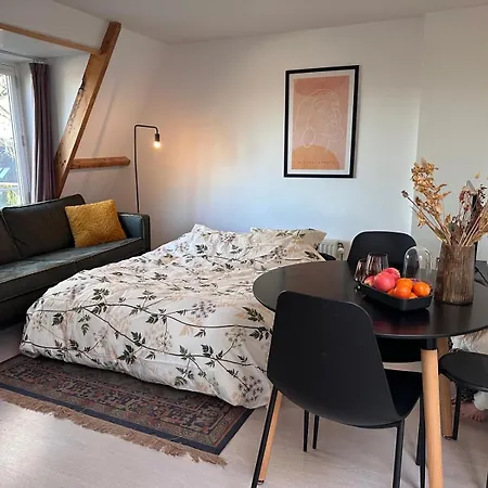 Bright Incl Workplace Near The Center Appartamento