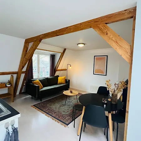 Bright Incl Workplace Near The Center Неймеген