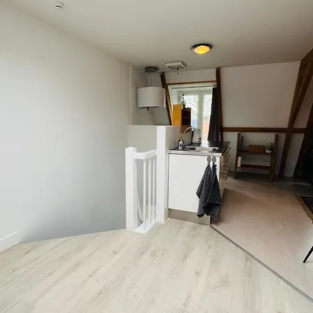 Bright Incl Workplace Near The Center Неймеген