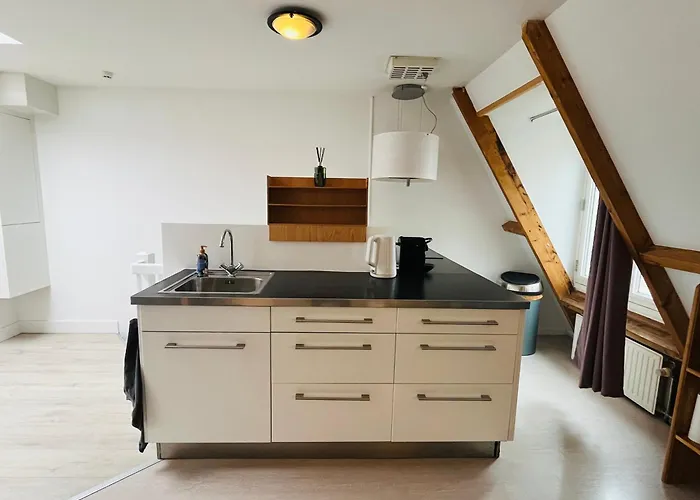 Bright Incl Workplace Near The Center Апартаменты Неймеген